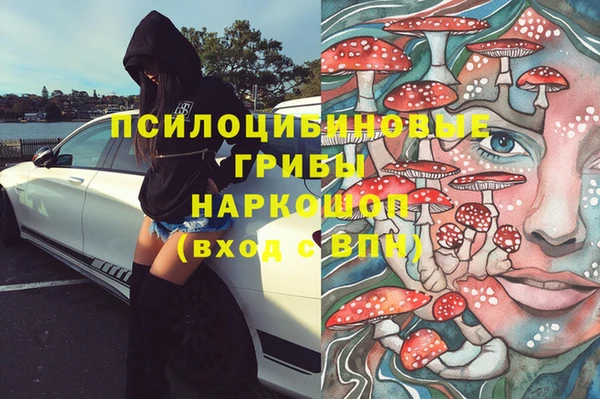 PSILOCYBIN Абаза