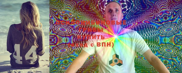 PSILOCYBIN Абаза