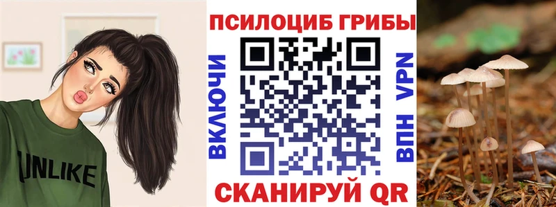 Псилоцибиновые грибы прущие грибы  Зея 